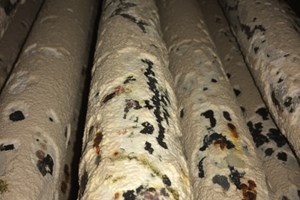 LƯU Ý SAU KHI TẨY RỬA LÒ HƠI